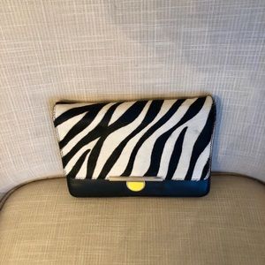 Pony Hair Clutch